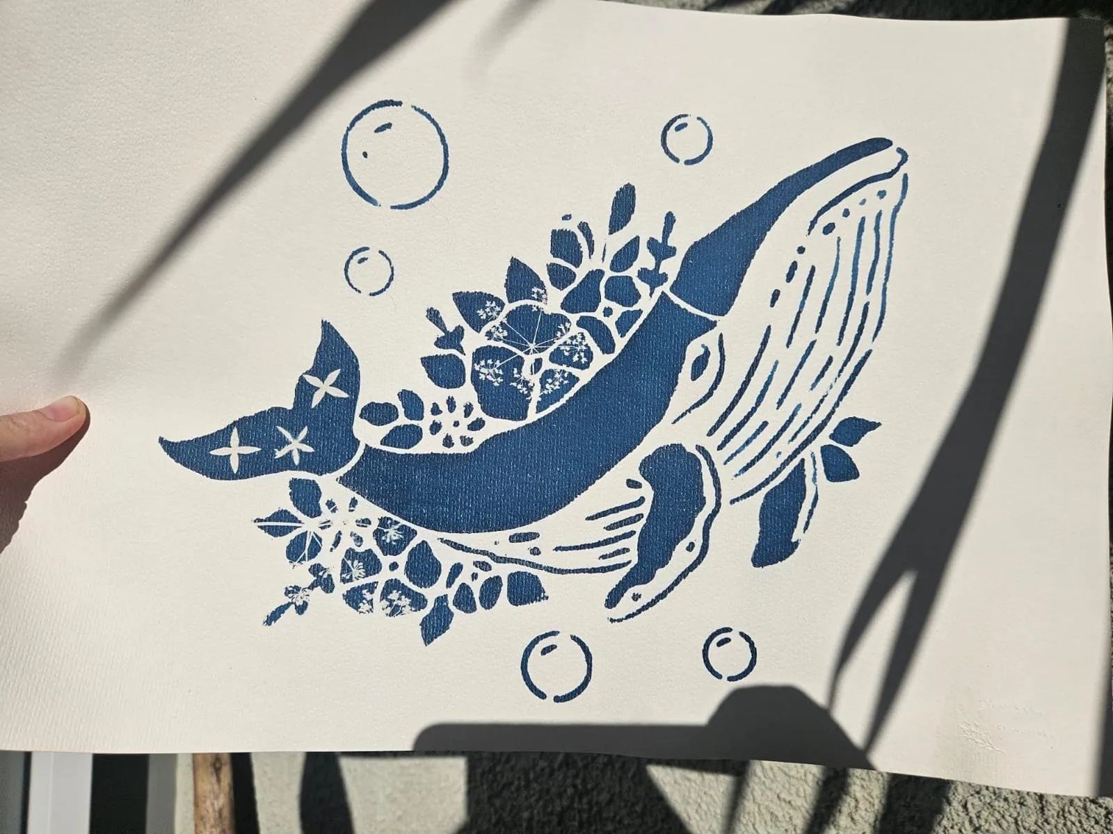 Cyanotype baleine